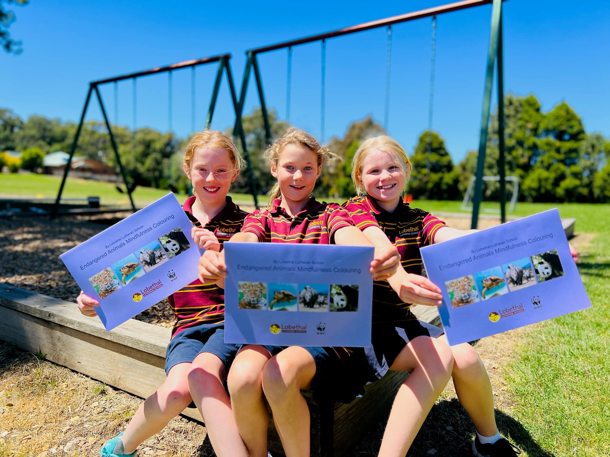 Community service lesson prompts colourful concept