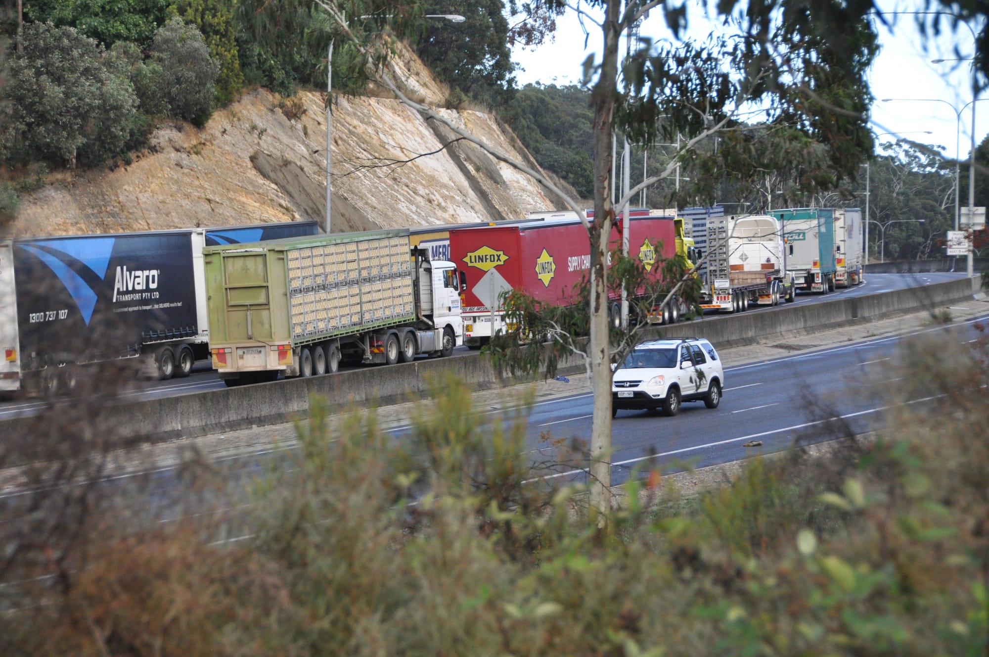 Trucks to stay