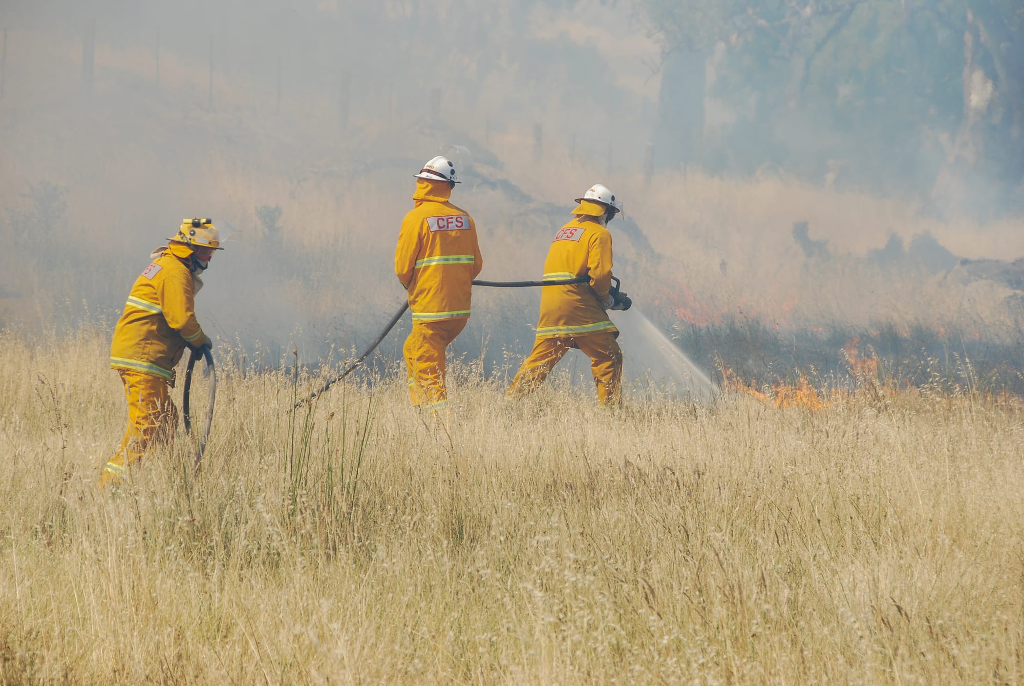 Firey fears: CFS members raise concerns about safety, processes